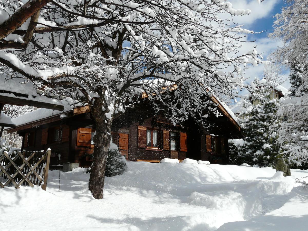 Chalet des Glaciers Chamonix Mont Blanc Exterior foto